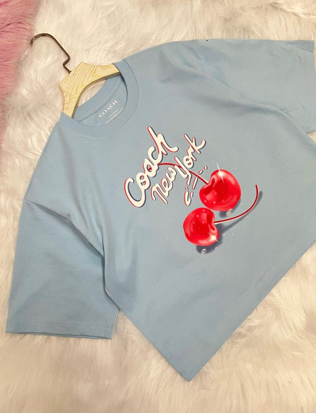 Coach Women Airbrushed Cherry Organic Cotton Cropped T Shirt (CQ841)