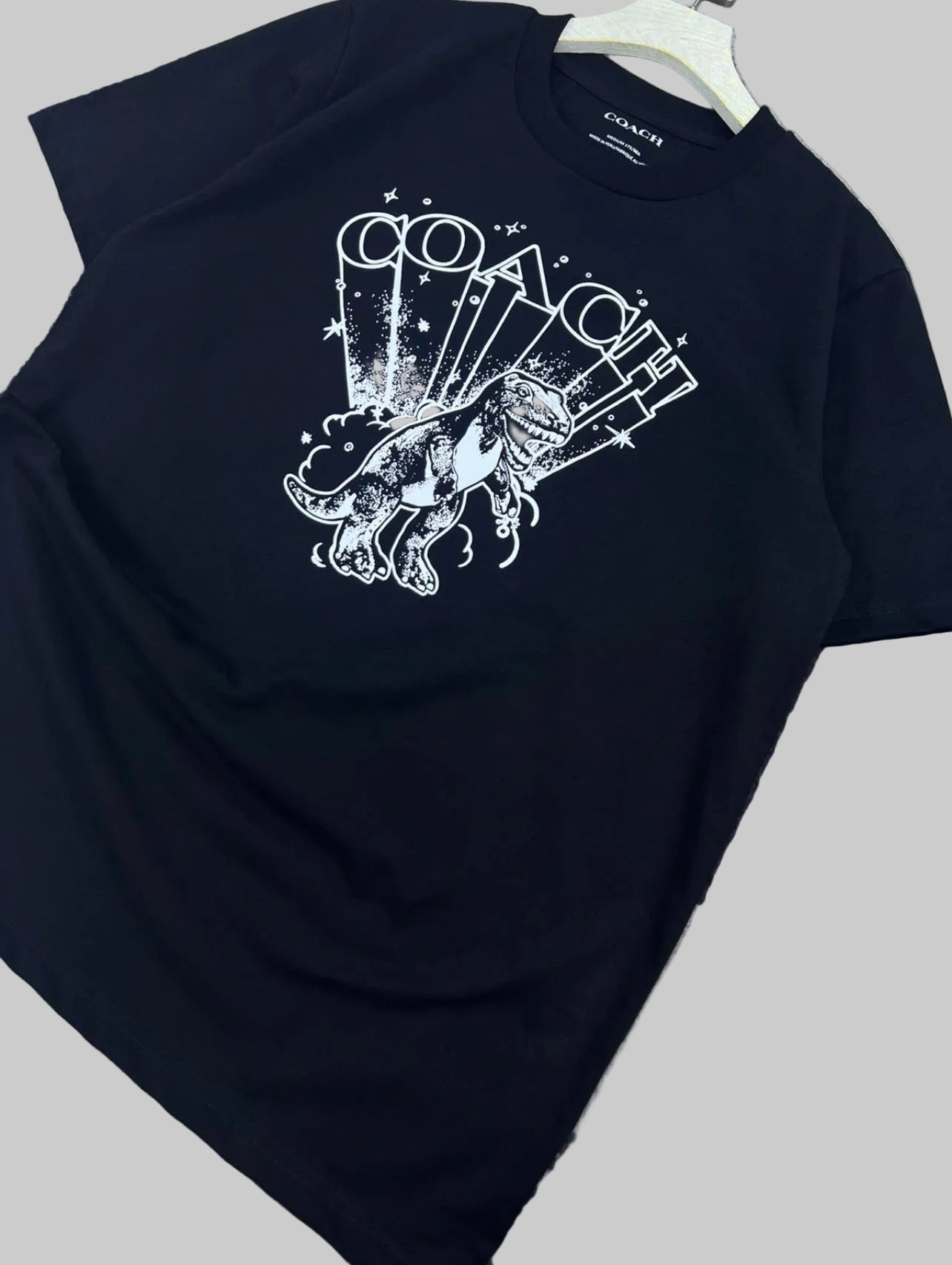 Coach Men's Graphic T-Rex Oversized/Relaxed In Organic Cotton