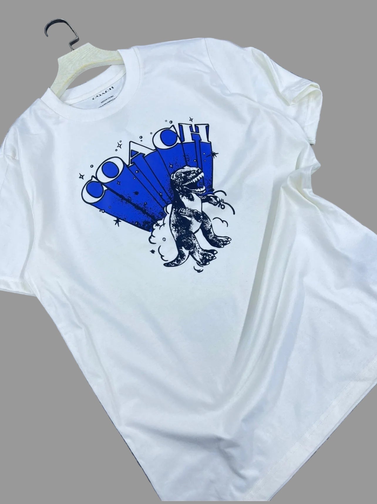Coach Men's Graphic T-Rex Oversized/Relaxed In Organic Cotton